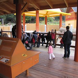 Elephants of Thailand Viewing Area