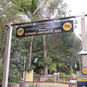 Elephant Enrichment Area