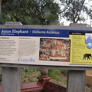 Elephants of Asia Signage