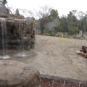 Elephants of India Waterfall