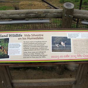 Elephants of China - Signage