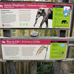 Elephants of China - Signage