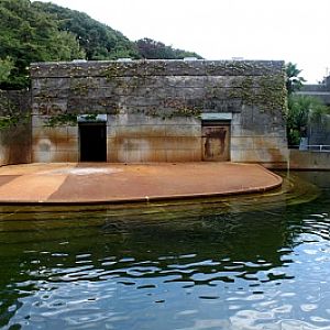Hippopotamus outdoor exhibit
