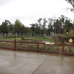 Deep Water Pool Area - Elephants of Asia