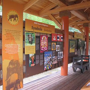 Public Viewing Area - Elephants of Asia