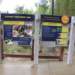 Elephant Enrichment Area - Elephants of Asia