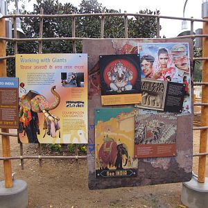 Elephants of India Signage - Elephants of Asia