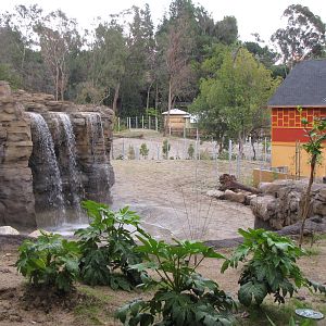 Elephants of India Waterfall