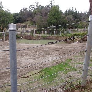 Elephant Lake - Elephants of Cambodia