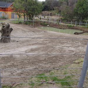 Elephant Lake - Elephants of Cambodia