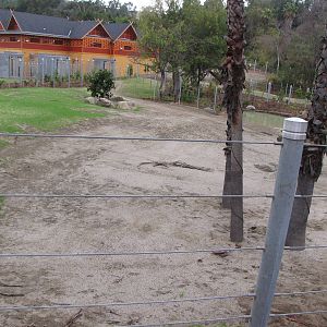 Elephants of Cambodia - Elephants of Asia