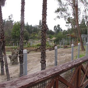 Elephants of Cambodia Observation Deck