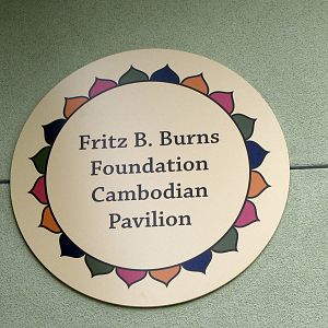 Elephants of Cambodia