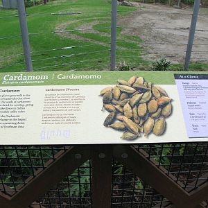 Elephants of Cambodia Signage