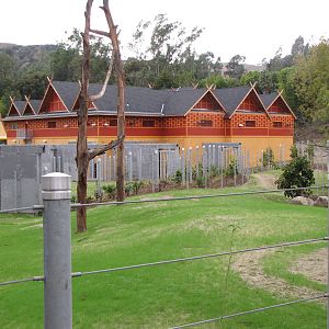 Elephants of Cambodia - Elephants of Asia