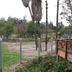 Elephants of Cambodia Observation Deck