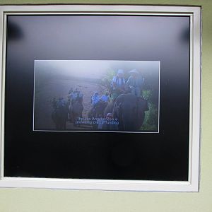 Educational Video - Elephants of Cambodia