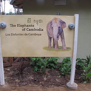Elephants of Cambodia Signage