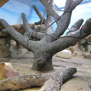 Henry Doorly Zoo 2010 - Indoor exhibit in Hubbard Gorilla Valley