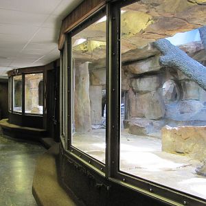 Henry Doorly Zoo 2010 - General view in Hubbard Gorilla Valley