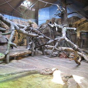 Henry Doorly Zoo 2010 - Main indoor exhibit in Hubbard Gorilla Valley