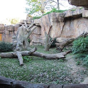 Henry Doorly Zoo 2010 - Right part of Silverback outdoor exhibit in Hubbard