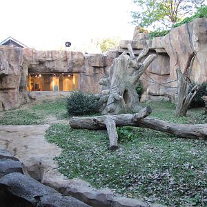 Henry Doorly Zoo 2010 - Left part of Silverback outdoor exhibit in Hubbard