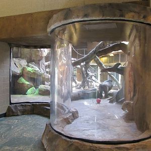 Henry Doorly Zoo 2010 - Viewing window on Gorilla indoor exhibit