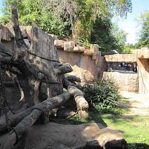 Henry Doorly Zoo 2010 - Part of outdoor exhibit in Hubbard Gorilla Valley