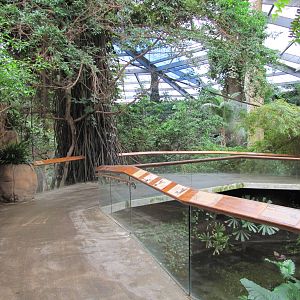 Henry Doorly Zoo 2010 - Start of Asian Rainforest in Lied Jungle