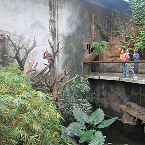 Henry Doorly Zoo 2010 - White-handed Gibbon exhibit in Lied Jungle