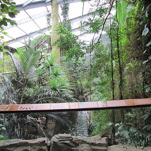 Henry Doorly Zoo 2010 - View into Asian Rainforest in Lied Jungle