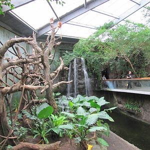Henry Doorly Zoo 2010 - Side of Ebony and Francois Langur exhibit in Lied J