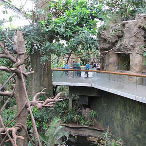Henry Doorly Zoo 2010 - Blue Monkey exhibit and entrance to African Rain Fo