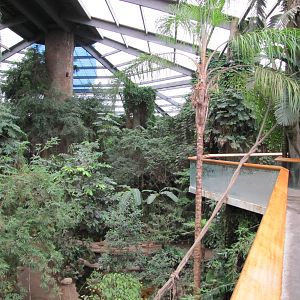 Henry Doorly Zoo 2010 - Entrance to South American Rainforest in Lied Jungl