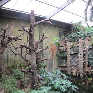 Henry Doorly Zoo 2010 - Mixed South American Rainforest exhibit in Lied Jun