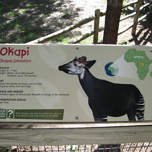 Henry Doorly Zoo 2010 - Okapi exhibit signage
