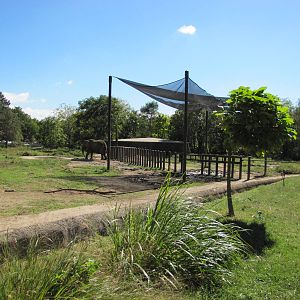 Henry Doorly Zoo 2010 - Alongside African Elephant exhibits