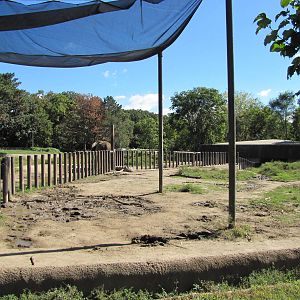 Henry Doorly Zoo 2010 - Second African Elephant exhibit