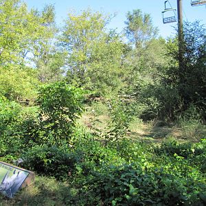 Henry Doorly Zoo 2010 - Part of densely vegetated White Rhinoceros exhibit