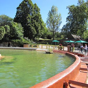 Henry Doorly Zoo 2010 - Present Sea Lion Pool and once a swimming pool