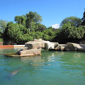 Henry Doorly Zoo 2010 - Present Sea Lion Pool and once a swimming pool