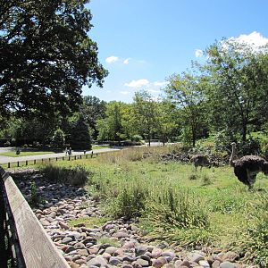 Henry Doorly Zoo 2010 - Part of Ostrich exhibit in African Veldt