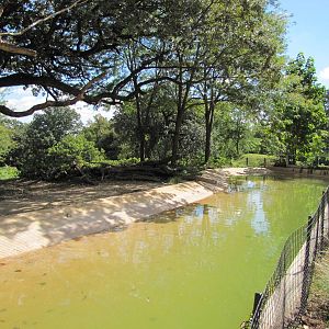 Henry Doorly Zoo 2010 - Jackass Penguin pool