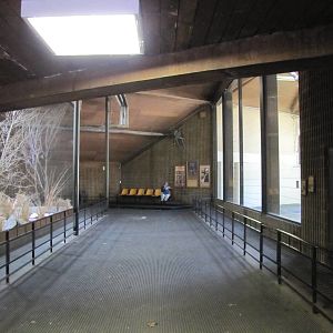 Henry Doorly Zoo 2010 - Inside Giraffe Complex