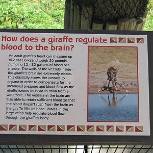 Henry Doorly Zoo 2010 - Giraffe exhibit sign
