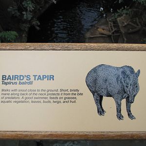 Henry Doorly Zoo 2010 - Bairds Tapir label in Lied Jungle