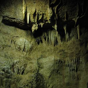 Henry Doorly Zoo 2010 - Top of Common Vampire Bat exhibit in Lied Jungle