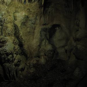 Henry Doorly Zoo 2010 - Bottom of Common Vampire Bat exhibit in Lied Jungle