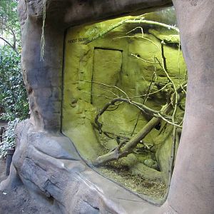 Henry Doorly Zoo 2010 - Side of Owl Monkey exhibit